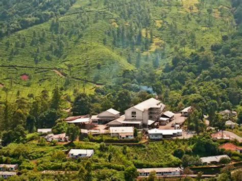 Most Popular Hill Stations near Bangalore For A Refreshing Escape - India Travel Blog