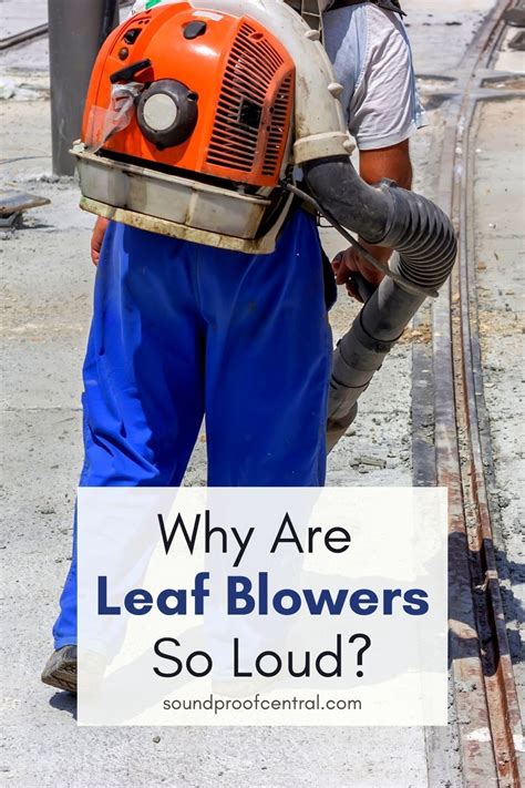 Why Are Leaf Blowers So Loud? | Blowers, Leaf blowers, Loud noises