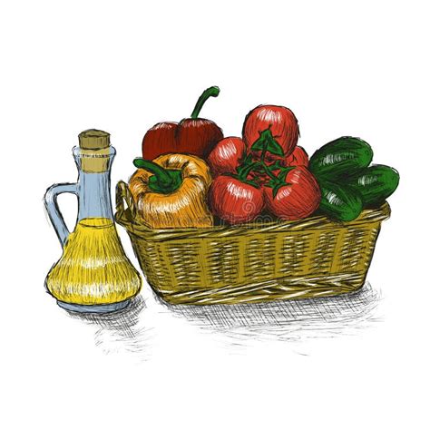 Food Basket with Vegetables Hand Drawn Vector Illustration. Stock ...