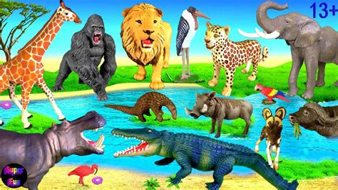 Animals Lion Leopard Elephant Hippo Giraffe Gorilla Crocodile Baboon Buffalo 13+ - YouTube