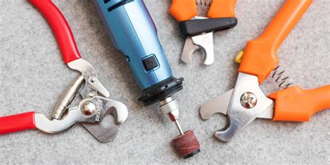 The Best Dog Nail Clippers | Reviews by Wirecutter