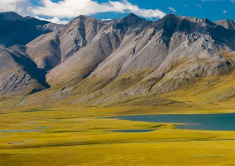 Kobuk Valley National Park (Wildlife, Facts, And Things To Do)