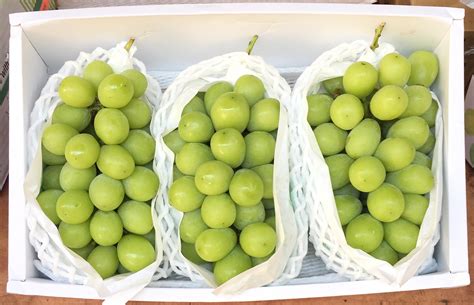 Japanese Shine Muscat Grape (Gift Box, 2.5kg approx) — MomoBud