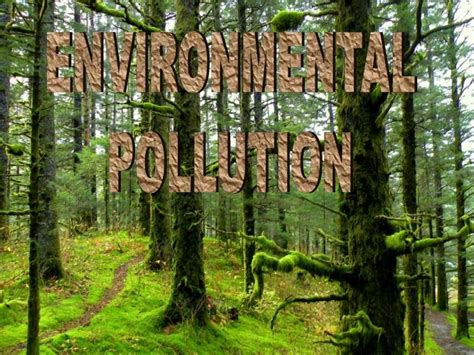 Environment ppt