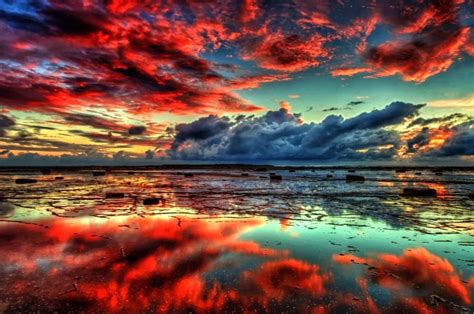 Free download Red Clouds Nature 4K Wallpapers UHD 4k animals 4k desktop [3840x2160] for your ...