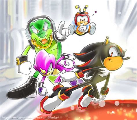 Shadow vs Team Chaotix - Sonic Heroes Photo (8786064) - Fanpop