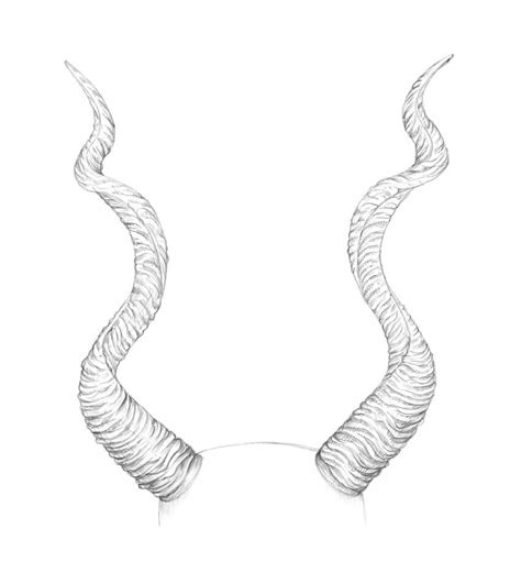 a pencil drawing of two horns with curved tails