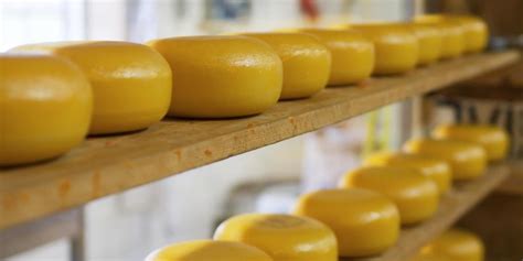 What are the Different Types of Cheese? (with pictures)