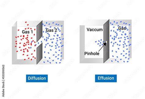 The Difference between Effusion and Diffusion Stock Illustration | Adobe Stock