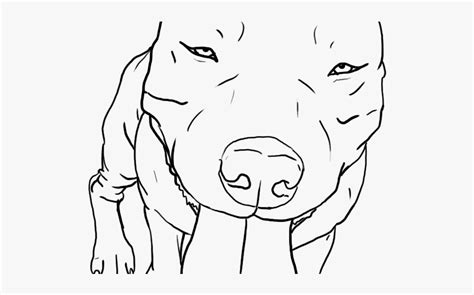 Easy American Bully Drawing , Free Transparent Clipart - ClipartKey
