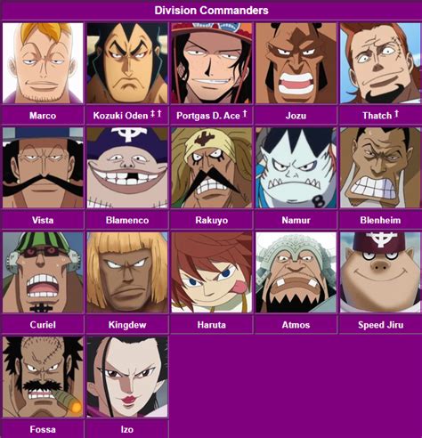 All 16 Whitebeard Pirates Commanders - One Piece