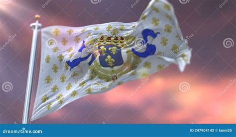 First Royal Standard of France, White Bourbon Flag, Waving at Sunset. Loop Stock Footage - Video ...