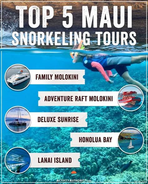 Top 5 Maui Snorkeling Tours - Lahaina, Maalaea, Makena, Lanai