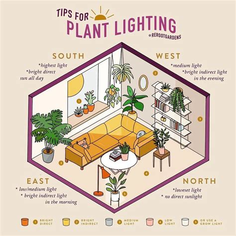 Inside Plants, Room With Plants, House Plants Decor, House Plants ...