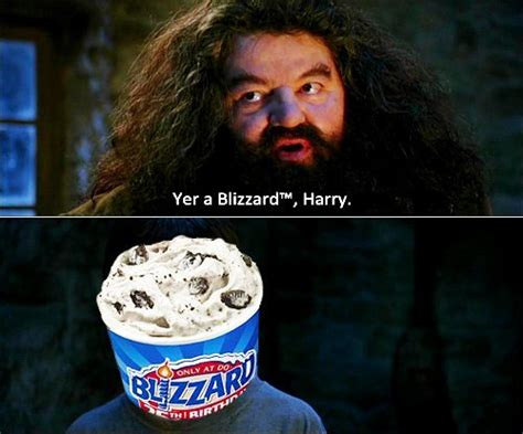 [Image - 117392] | You're a Wizard, Harry! | Know Your Meme