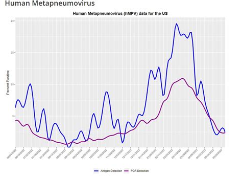 Human Metapneumovirus: Symptoms, Spread, and Prevention - Archyde