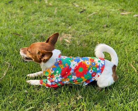 Beautiful Floral Summer Dog clothes vest costume – Pepper de Dog