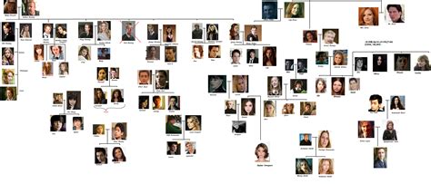 Harry Potter Family Tree Photo