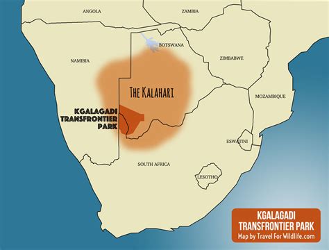 Guide to the Kgalagadi Transfrontier Park | Travel For Wildlife