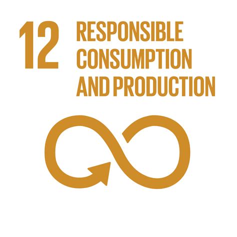 SDG12 Responsible Consumption and Production