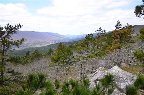 Black Fork Mountain Trail (Ouachita Forest) – 11 mi (o&b) | Arklahoma Hiker