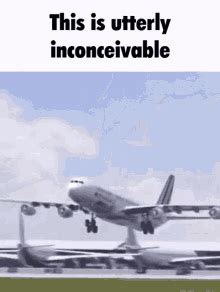 Bird Plane GIF - Bird Plane - Discover & Share GIFs