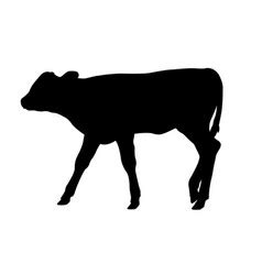 Calf Vector Images (over 12,000)