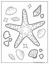 Starfish Star Fish Printable Coloring Pages Colouring Template  sketch template