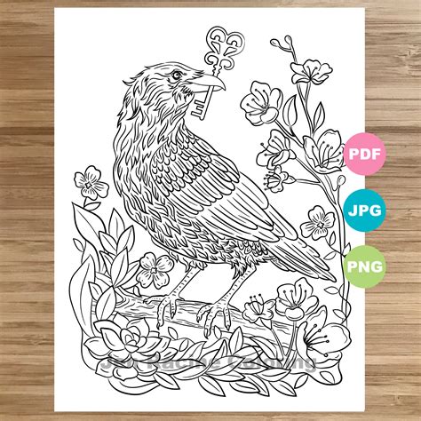 Raven Coloring Page