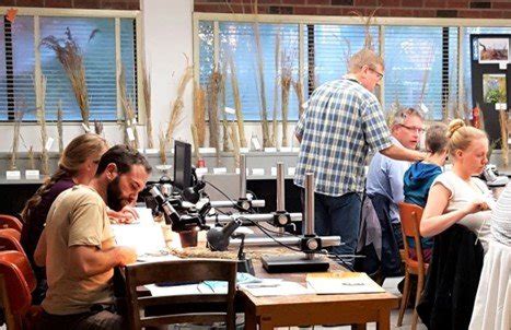 Grass (Poaceae) Identification—Workshop Full — Friends of the Ahart Herbarium