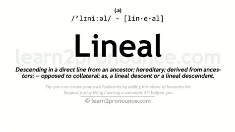 lineal - Word of the Day - English - The Free Dictionary Language Forums