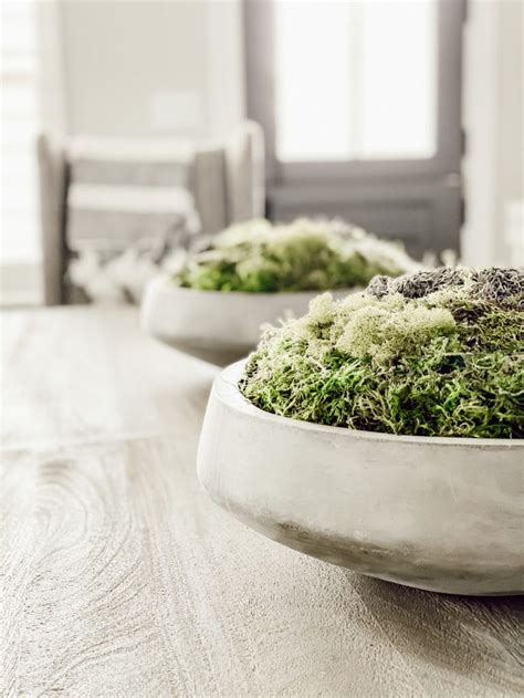 DIY Moss Planters...take 2! » ourfauxfarmhouse.com in 2020 | Moss planter, Moss centerpieces diy ...