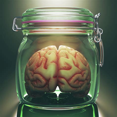 Human Brain In Glass Jar Photograph by Ktsdesign/science Photo Library - Pixels