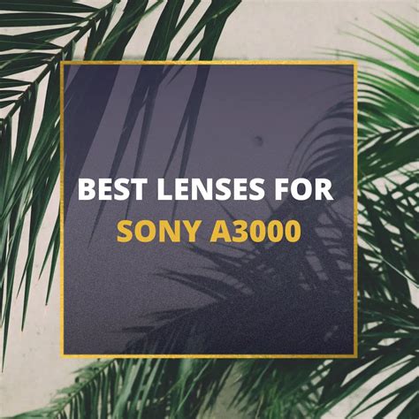 📸 5 MUST-OWN Lenses For Sony A3000 In 2024 [Guide]