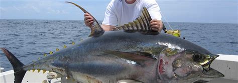 Big Game Fishing - Turn Your Trip into a Real Adventure