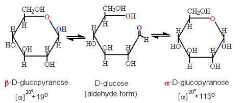 D - Glucose shows mutarotation because: