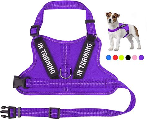 Amazon.com: therapy dog vest in training