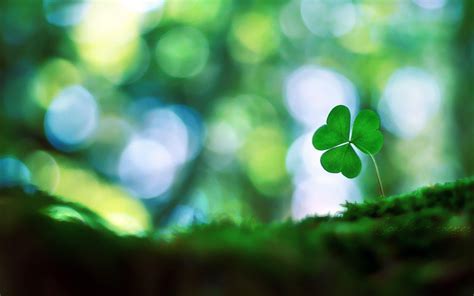 Shamrock Backgrounds Free - Wallpaper Cave