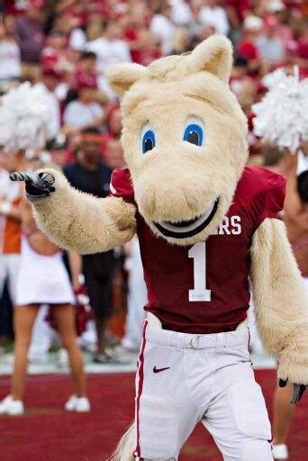 OU MASCOT BOOMER SOONERS | Oklahoma football, Oklahoma sooners football ...