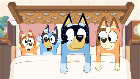 Bluey: New Episodes : ABC iview