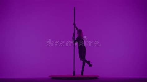 Portrait of Young Female Dancer in the Studio. Professional Pole Dancer Girl Dancing on Pylon ...