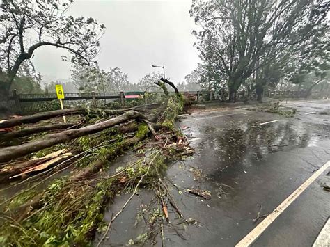 Typhoon Egay forces closure of 24 roads in Luzon — DPWH | Inquirer News