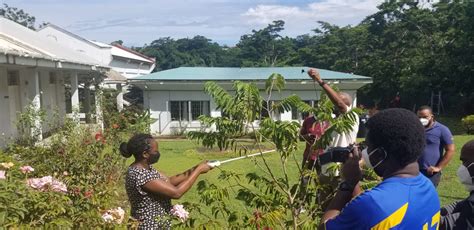 Training For Resilience Building In Agriculture In Dominica – Caribbean Agricultural Research ...