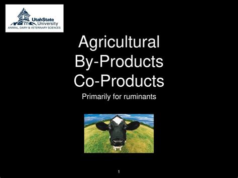 Agricultural By-Products Co-Products - ppt download