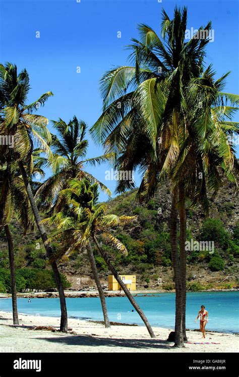 Cockleshell Bay beach. Cockleshell Bay beach, St Kitts Stock Photo - Alamy