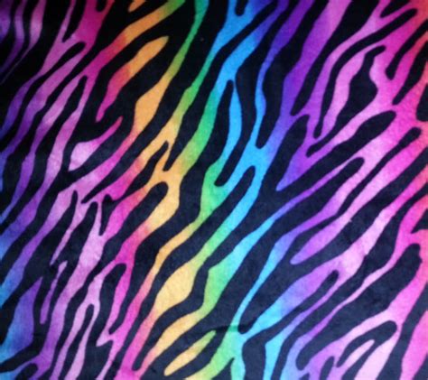 Zebras, fun, rainbow, animals, HD wallpaper | Peakpx