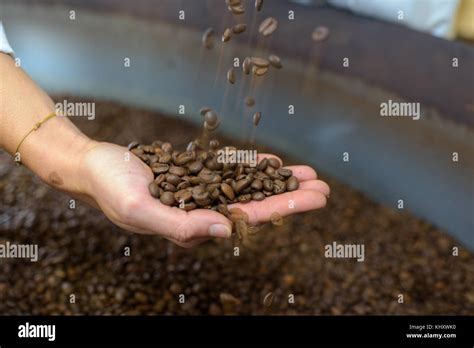 organic coffee beans Stock Photo - Alamy