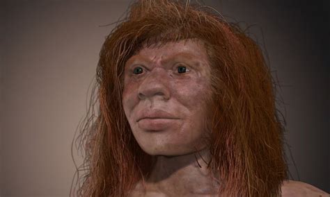 Denisovans: How They Interbred with Neanderthals and Homo Sapiens ...