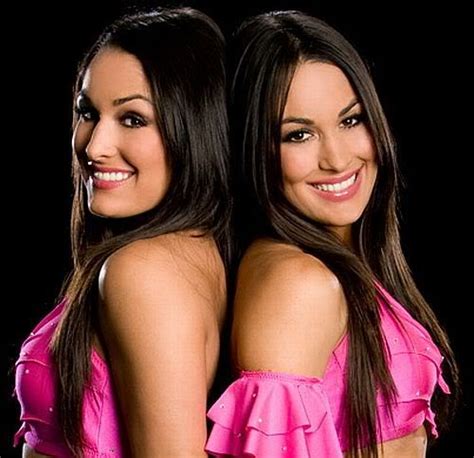 The Wrestlers: bella twins hot pics