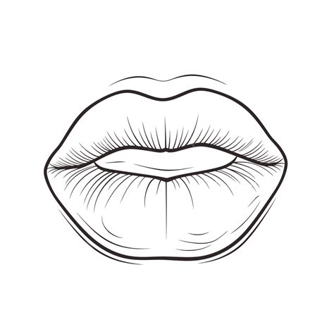 Lips Of Women Mouth Outline Drawing Isolated On White Background Sketch Vector, Wing Drawing ...